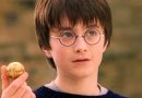 harry potter golden snitch mealheiro