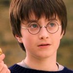 harry potter golden snitch mealheiro