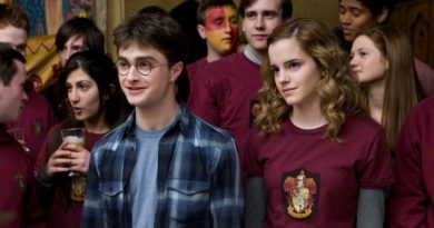 harry potter hermione gryffindor