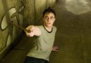 harry potter fox