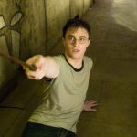 harry potter fox