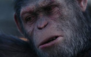 Planeta dos Macacos
