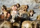 national geographic