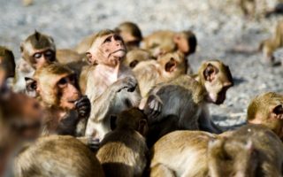 national geographic