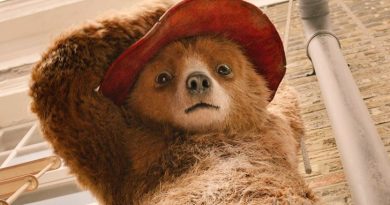 paddington 2 rotten tomatoes