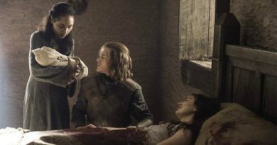 robert aramayo lord of the rings