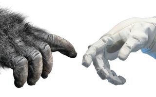 Saída de Emergência universo humano