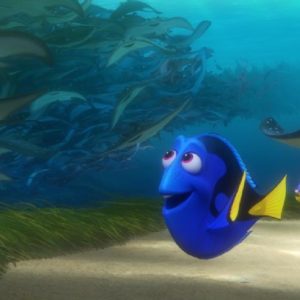 dory