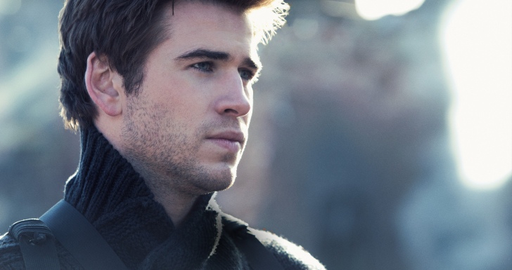 Liam Hemsworth 123