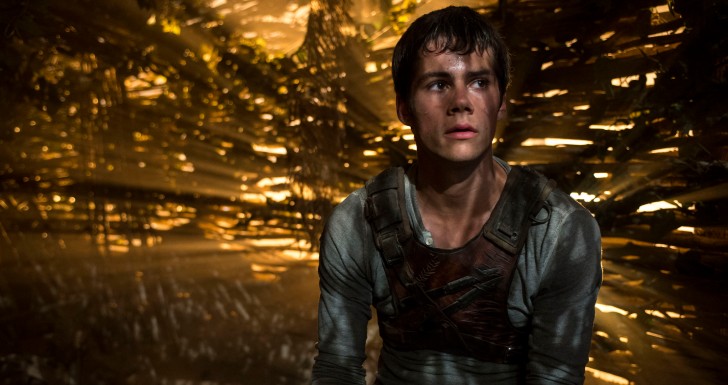 maze runner fox