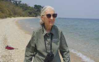 dia da terra jane goodall