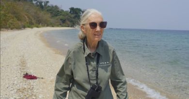 dia da terra jane goodall