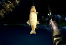 ultimate fishing simulator xbox one