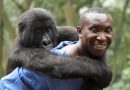 Virunga Netflix