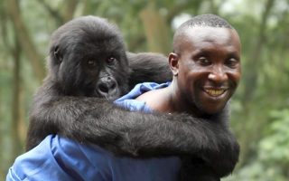 Virunga Netflix