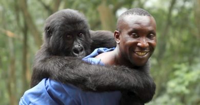 Virunga Netflix