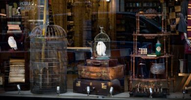 house of spells artigo 1