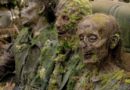AMC The Walking Dead