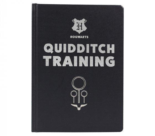 quidditch house of spells