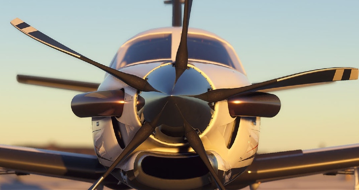 Microsoft Flight Simulator