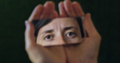 a metamorfose dos passaros critica indielisboa