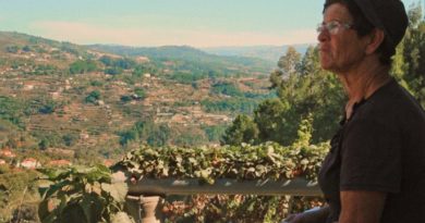 entre leiras critica indielisboa