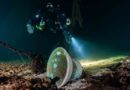 National Geographic