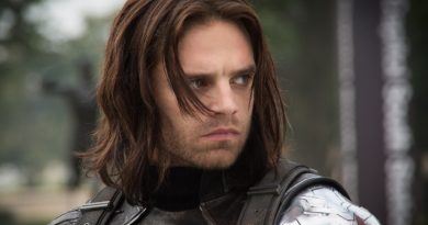 falcon Winter Soldier