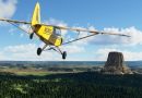 Microsoft Flight Simulator