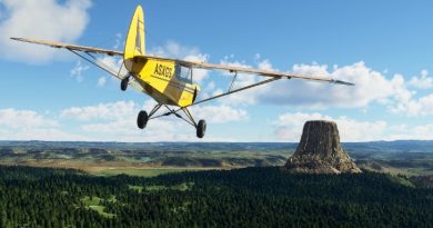 Microsoft Flight Simulator