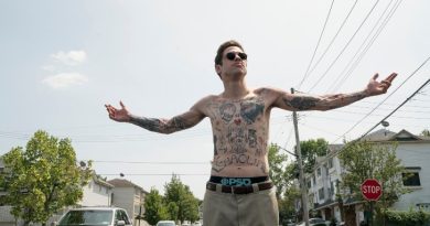 o rei de staten island tvcine