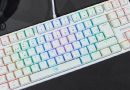 Prozis teclado