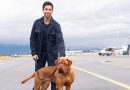 Turner & Hooch