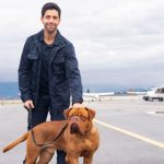 Turner & Hooch