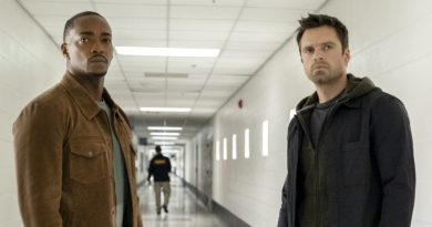 Falcon Winter Soldier poster