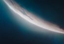 Starfield