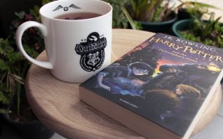 harry potter dia da mae