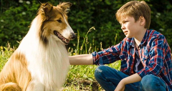 Lassie de Volta a Casa