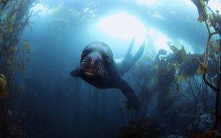 National Geographic