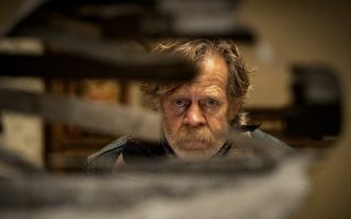 William H Macy