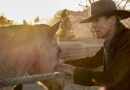 Clint Eastwood Cry Macho