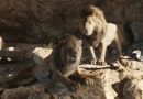 The Lion King (2019)