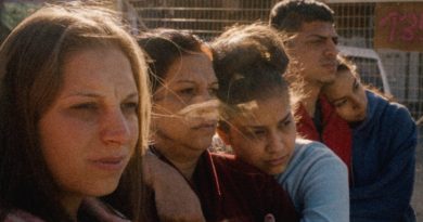 la ultima primavera critica indielisboa