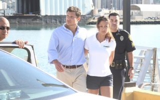 vanessa lachey ncis hawaii