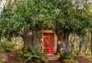 Winnie the Pooh casa