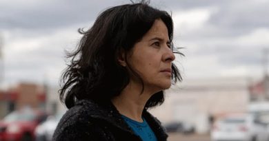 fest la civil critica