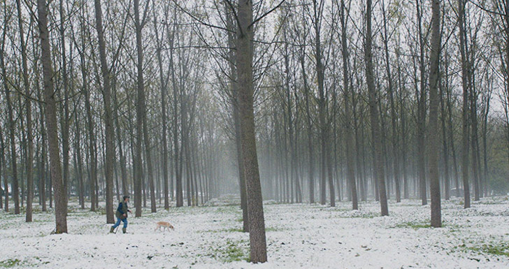 The Truffle Hunters