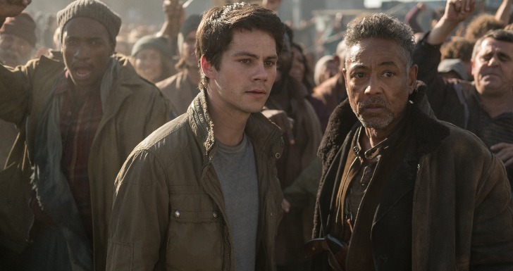 maze runner fox