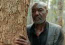 Marvel Delroy Lindo Netflix Blade