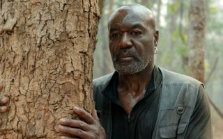 Marvel Delroy Lindo Netflix Blade